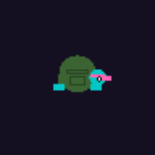 PIXEL TURTLE