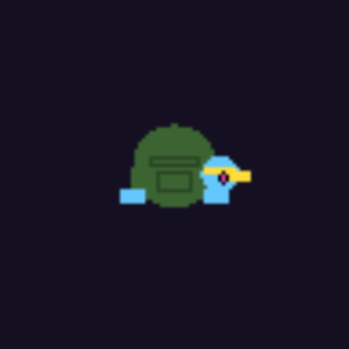PRISM TURTLE